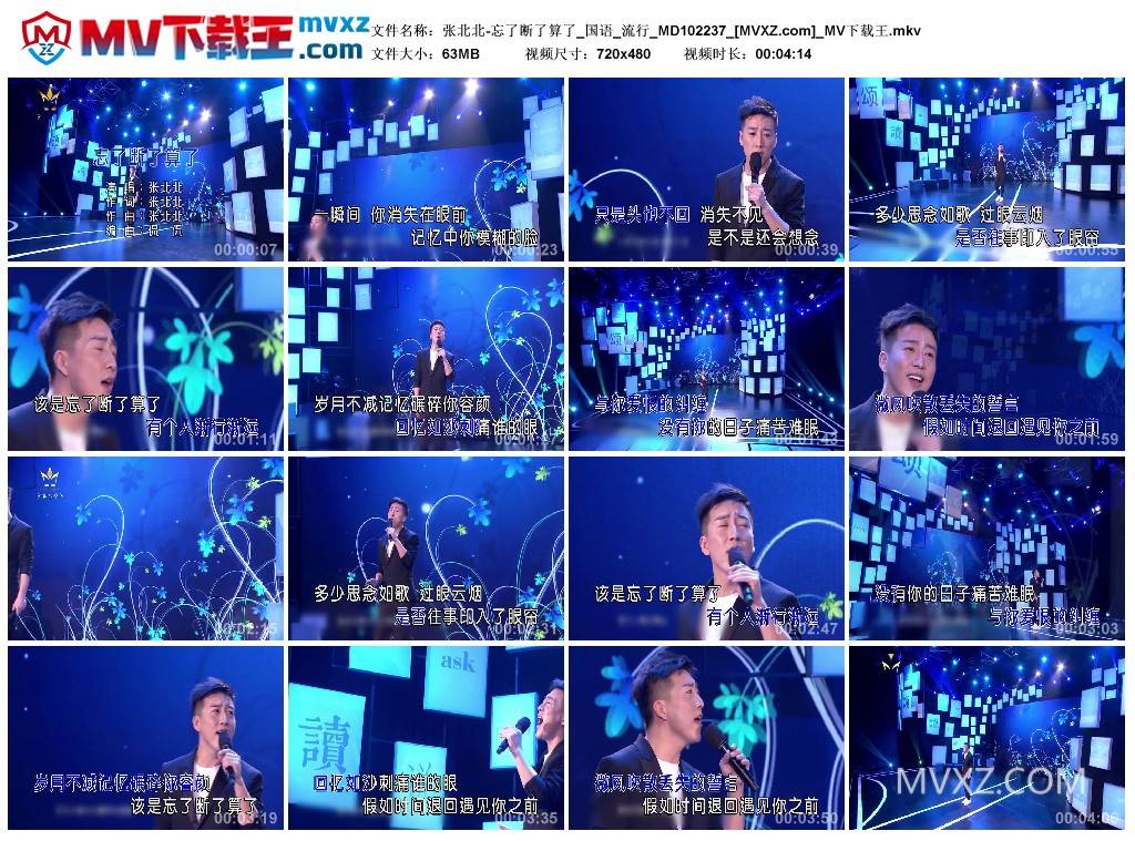 张北北-忘了断了算了_国语_流行_MD102237